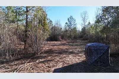 3120 Mount Olive Road, Bonifay, FL 32425 - Photo 10