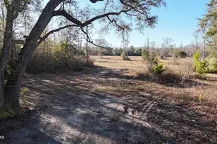 3120 Mount Olive Rd, Bonifay, FL 32425 - Photo 1
