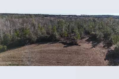 3120 Mount Olive Road, Bonifay, FL 32425 - Photo 8