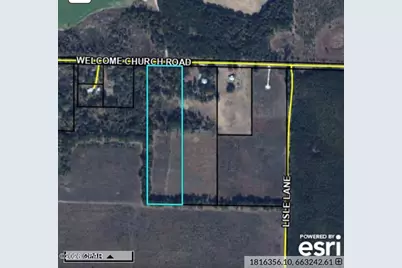 00 Welcome Church Rd, Sneads, FL 32460 - Photo 4
