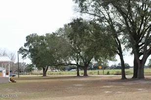 5008 3rd Ave, Malone, FL 32445 - Photo 54