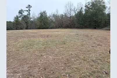 2054 Dairy Road, Sneads, FL 32460 - Photo 2