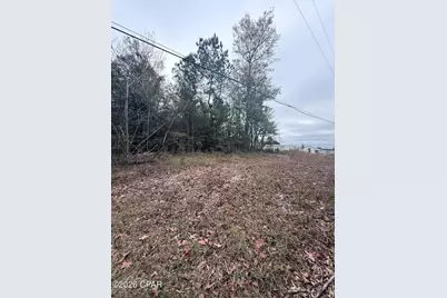 0 Dairy Road, Sneads, FL 32460 - Photo 2