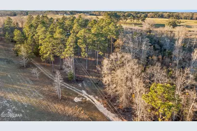 1474 Gavin Road, Bonifay, FL 32425 - Photo 18