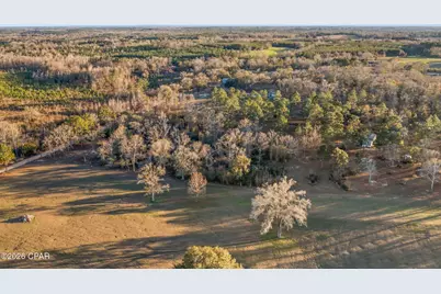 1474 Gavin Road, Bonifay, FL 32425 - Photo 8