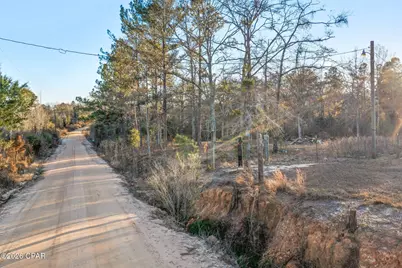 1474 Gavin Road, Bonifay, FL 32425 - Photo 2