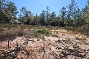 2245 Shenandoah Blvd, Chipley, FL 32428 - Photo 1