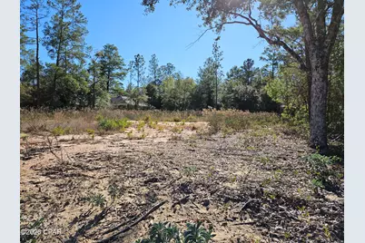 2245 Shenandoah Boulevard, Chipley, FL 32428 - Photo 2