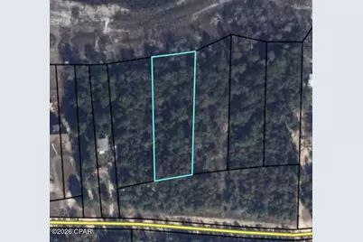 Tbd Woodymarion Drive, Chipley, FL 32428 - Photo 6