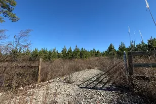 00 Tanner Rd, Marianna, FL 32448 - Photo 1