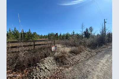 00 Tanner Road, Marianna, FL 32448 - Photo 6