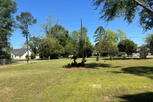 1021 8th Ave, Graceville, FL 32440 - Photo 16