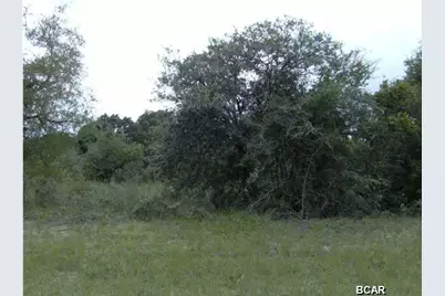 Lot 6 Hale Avenue, Chipley, FL 32428 - Photo 4