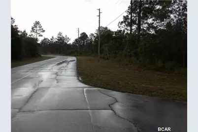 Lot 12 Voltaire Drive, Chipley, FL 32428 - Photo 4