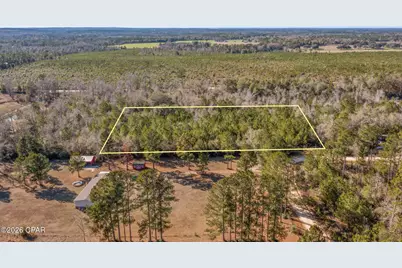 Xxx Schmidt Lane, Chipley, FL 32428 - Photo 4