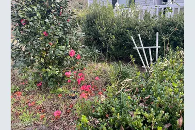 4854 Highway 231, Campbellton, FL 32426 - Photo 30