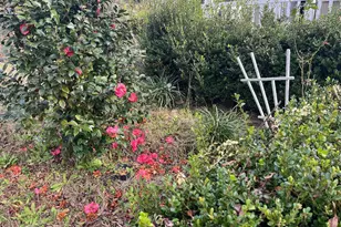 4854 Hwy 231, Campbellton, FL 32426 - Photo 30