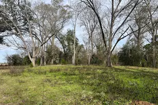 4854 Hwy 231, Campbellton, FL 32426 - Photo 32