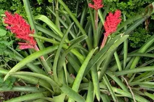 4854 Hwy 231, Campbellton, FL 32426 - Photo 60