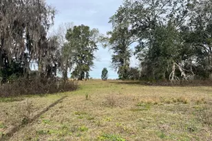 4854 Hwy 231, Campbellton, FL 32426 - Photo 40