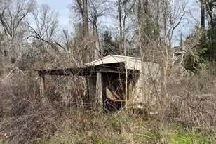 4854 Hwy 231, Campbellton, FL 32426 - Photo 46