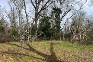 4854 Hwy 231, Campbellton, FL 32426 - Photo 36