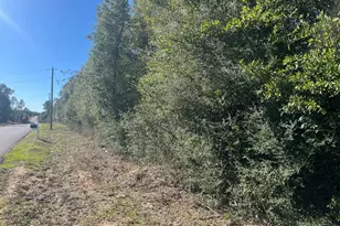 Xxx Sweetwater Branch, Fountain, FL 32438 - Photo 1