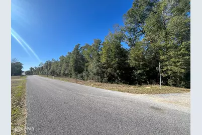 Xxx Sweetwater Branch, Fountain, FL 32438 - Photo 2