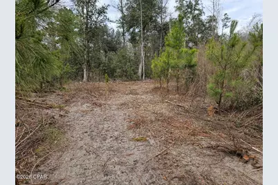 000 Lovewood Road, Cottondale, FL 32431 - Photo 8