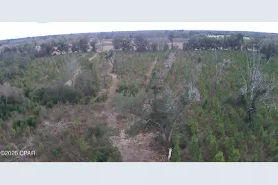000 Lovewood Road, Cottondale, FL 32431 - Photo 20