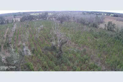 000 Lovewood Road, Cottondale, FL 32431 - Photo 26