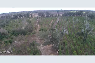 Tbd Lovewood Road, Cottondale, FL 32431 - Photo 20