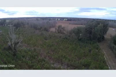 Tbd Lovewood Road, Cottondale, FL 32431 - Photo 22