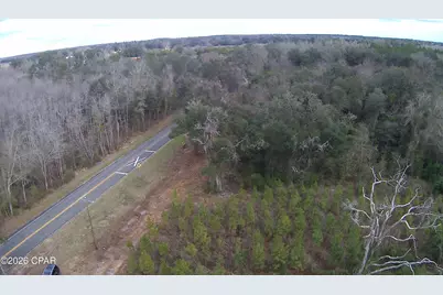 Tbd Lovewood Road, Cottondale, FL 32431 - Photo 10