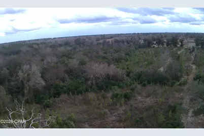 Tbd Lovewood Road, Cottondale, FL 32431 - Photo 16