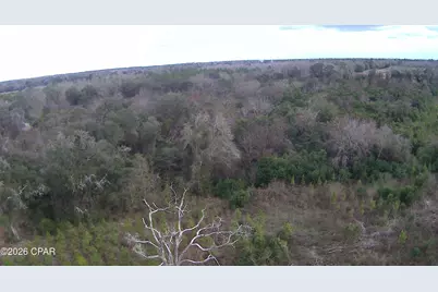 Tbd Lovewood Road, Cottondale, FL 32431 - Photo 18