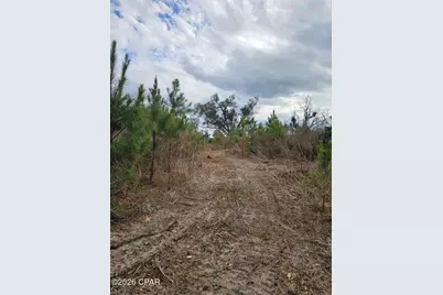0000 Lovewood Road, Cottondale, FL 32431 - Photo 6