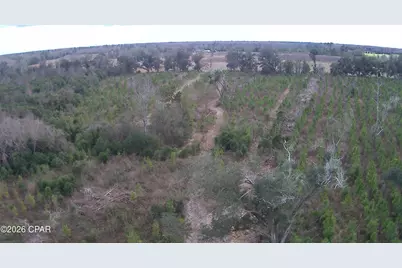 0000 Lovewood Road, Cottondale, FL 32431 - Photo 14