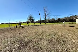 1652 Howell Williams Rd, Bonifay, FL 32425 - Photo 44