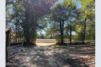 5894 Jasper Road, Bascom, FL 32423 - Photo 52