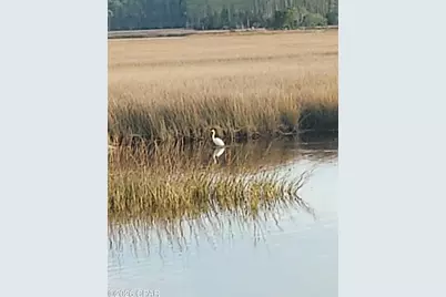 8402 Deepwater Creek Lane, Panama City Beach, FL 32413 - Photo 30