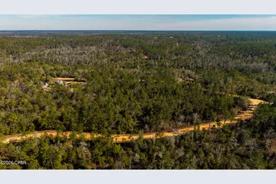 0 Rossville Avenue, Alford, FL 32420 - Photo 12