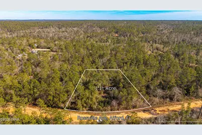 0 Rossville Avenue, Alford, FL 32420 - Photo 2