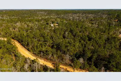 0 Rossville Avenue, Alford, FL 32420 - Photo 22