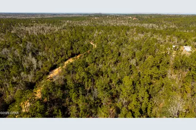 0 Rossville Avenue, Alford, FL 32420 - Photo 20
