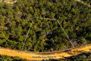 0 Rossville Ave, Alford, FL 32420 - Photo 1