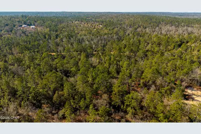 0 Rossville Avenue, Alford, FL 32420 - Photo 18