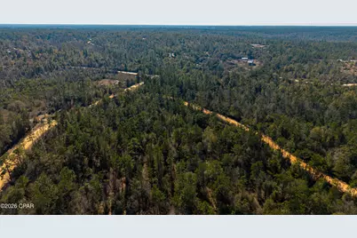 0 Rossville Avenue, Alford, FL 32420 - Photo 16