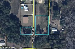 0000 Aaron Ave, Grand Ridge, FL 32442 - Photo 1