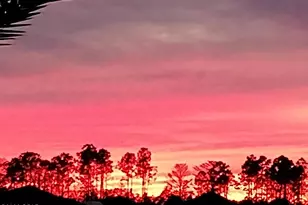 8528 Margaritaville Blvd, Panama City Beach, FL 32413 - Photo 50